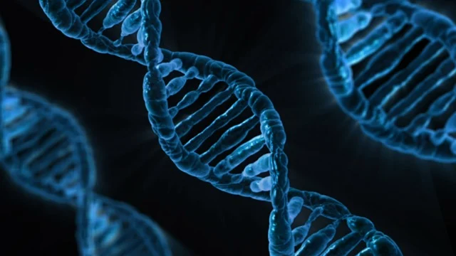 領(lǐng)先科技水性聚氨酯用催化劑，助力解決水性體系固化慢、性能不佳等難題